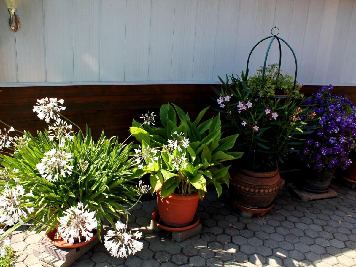 Pretty Bungalow In Neubukow With Garden, Roof Eksteriør bilde